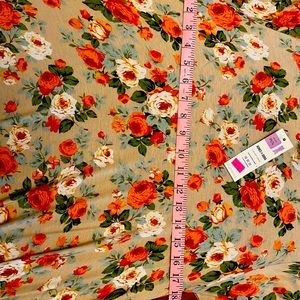 Agnes and Dora Ashleigh dress.  Never worn.  NWT.  Cute with cowboy boots.